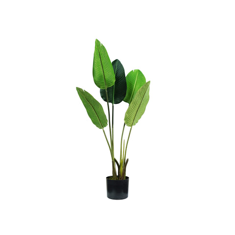 Polyethylene Strelitzia Plant with 5 Leaves and Pot, 100cm