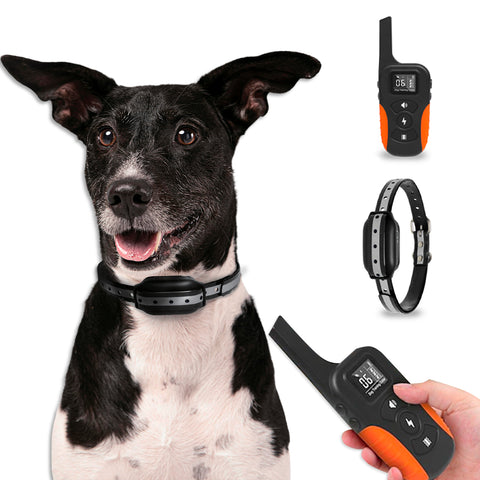 Training Collar for Large/Small Dogs - Waterproof and Control up to 1000m