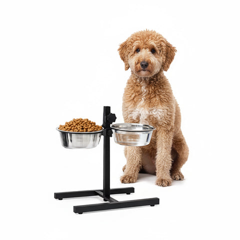 Elevated Bowls for Dogs and Cats - Adjustable Height and 2 1L Stainless Steel Bowls