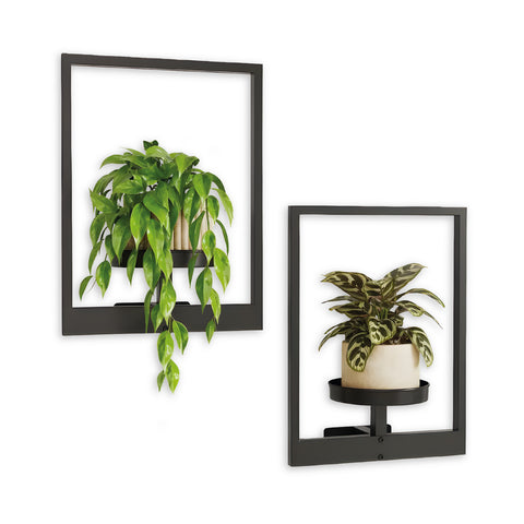Black metal wall-mounted plant holder, set of 2 frames, 30x40 cm