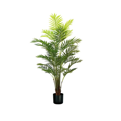 160cm Areca Palm Plant in Polyethylene with 33 Leaves and Pot with Moss