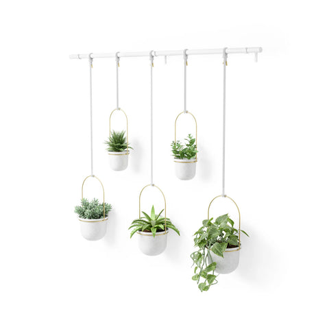 Set of 5 White Hanging Planters with Rod