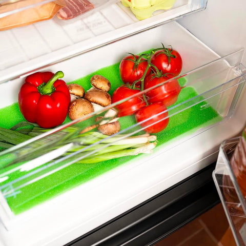 immagine-4-wintem-tappetino-frigo-antimuffa-50x30cm-ean-8050043124449
