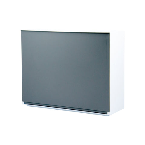 Smooth Wall-Mounted Shoe Cabinet 16x51,5x39cm Gray