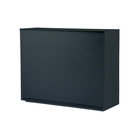 Liscia Wall-Mounted Shoe Cabinet 16x51,5x39cm Black