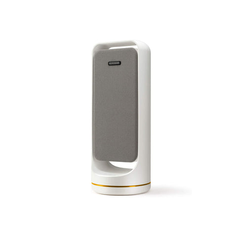 Air purifier with dual filtration system