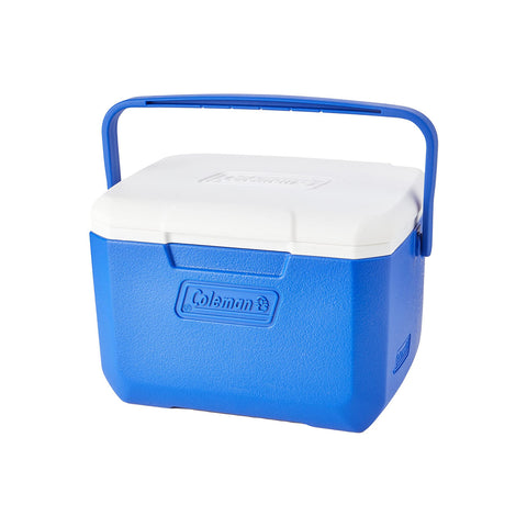 Thermal cooler box 4l