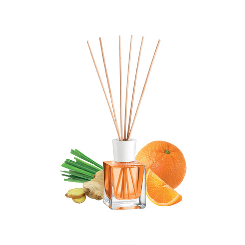 100ml Scent Diffuser
