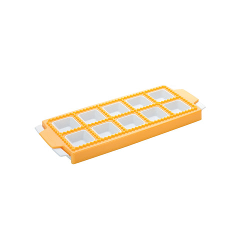 Plastic mold for 10 square ravioli